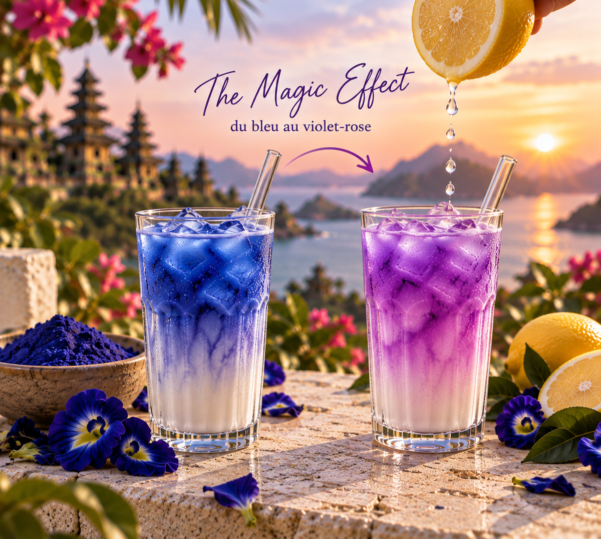 BIENTÔT DISPONIBLE - Butterfly Pea Flower "Magic effect"