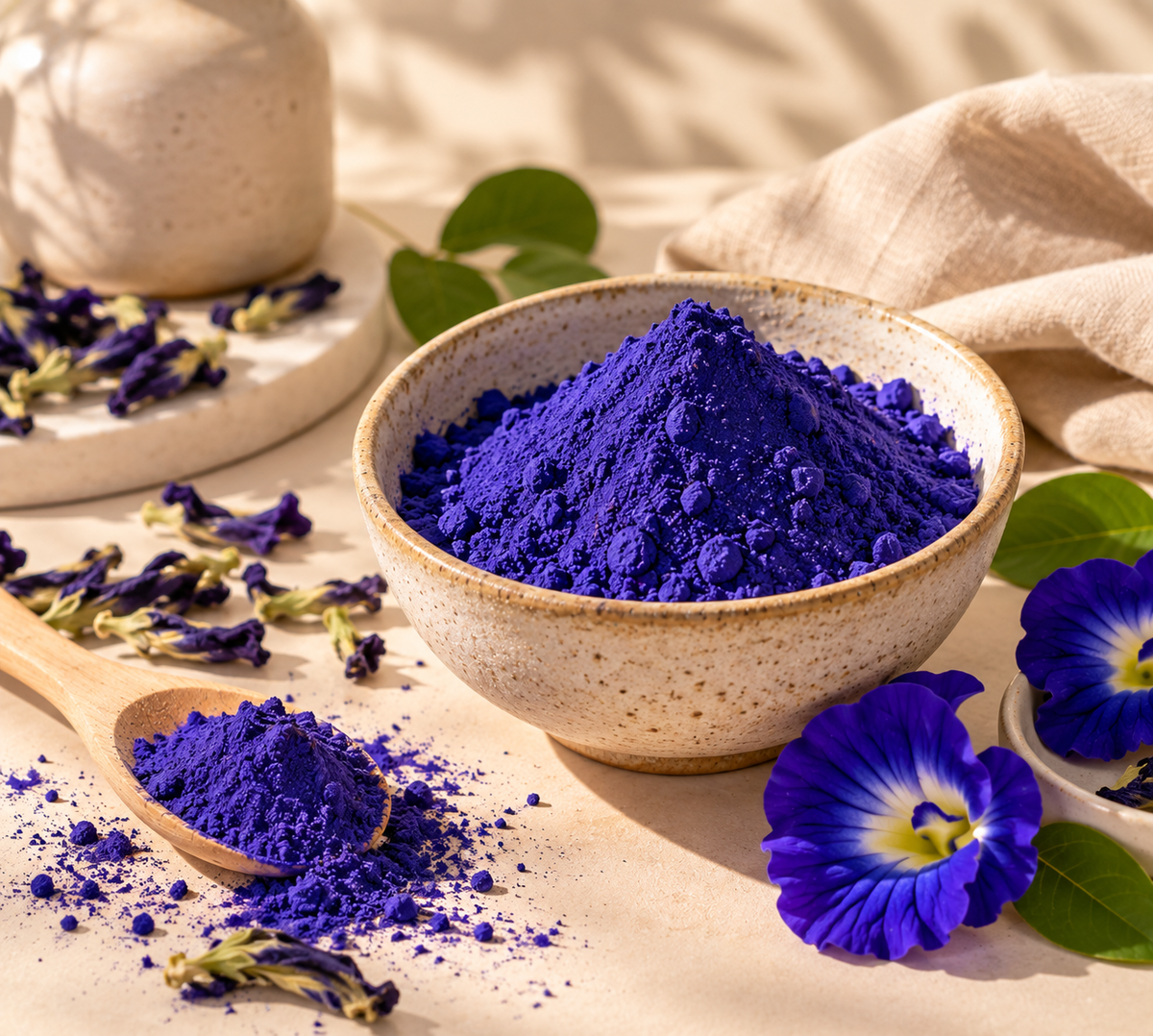 BIENTÔT DISPONIBLE - Butterfly Pea Flower "Magic effect"